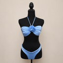 Blue Rose Bikini Set